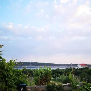 Zekija , Barbat na Rabu Croazia